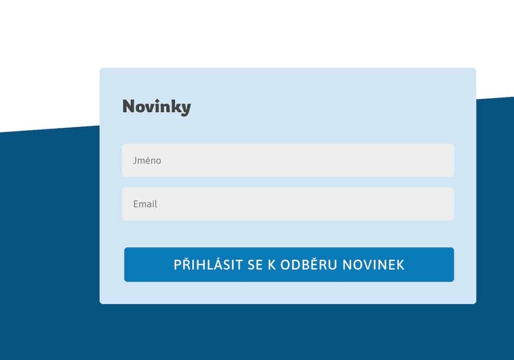 Screenshot of the translator's website – contact form.