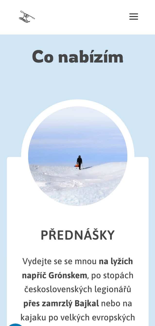 Screenshot of the translator's website – mobile.